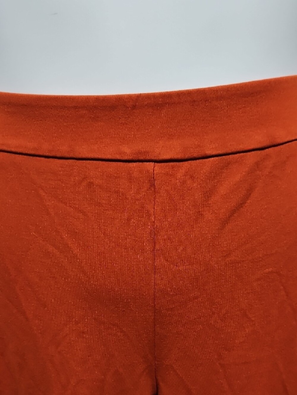 Cato Wide-Leg Pants in Rust Orange - Picture 2 of 6